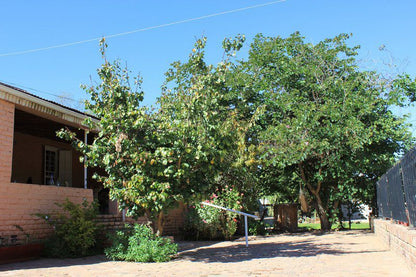 Lodge 96 Oudtshoorn Western Cape South Africa Complementary Colors, Plant, Nature, Tree, Wood, Garden