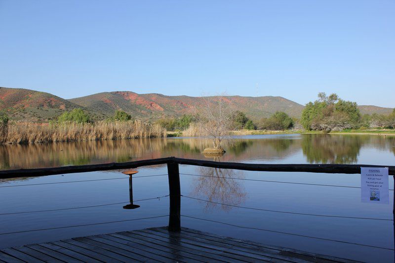 Lodge 96 Oudtshoorn Western Cape South Africa Lake, Nature, Waters, River