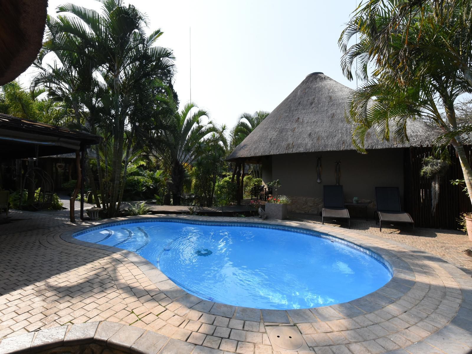 Lodge Afrique St Lucia Kwazulu Natal South Africa Palm Tree, Plant, Nature, Wood, Swimming Pool