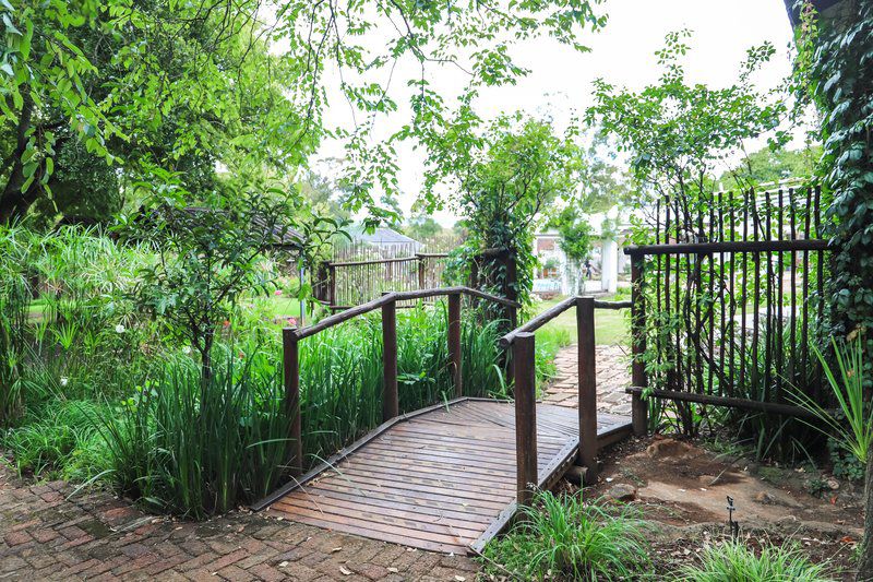 Lodge Laske Nakke Lydenburg Mpumalanga South Africa Garden, Nature, Plant