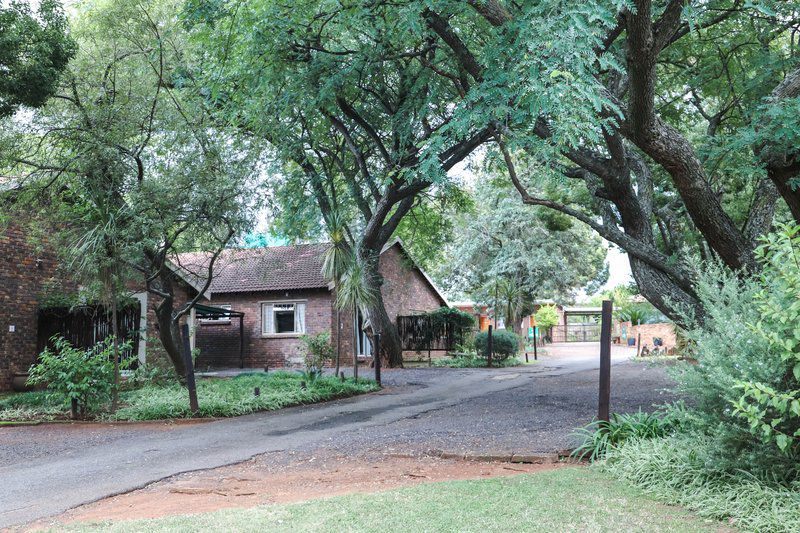 Lodge Laske Nakke Lydenburg Mpumalanga South Africa Tree, Plant, Nature, Wood