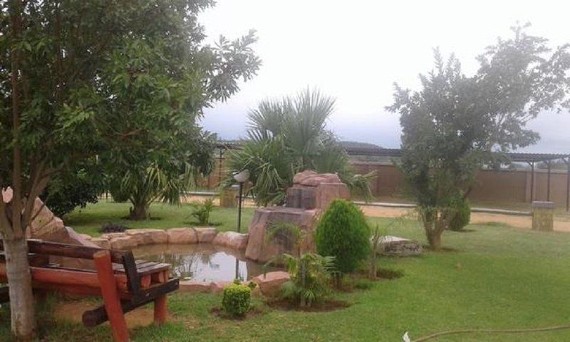 Loding Lodge Mkhombo Nature Reserve Mpumalanga South Africa Palm Tree, Plant, Nature, Wood, Swimming Pool