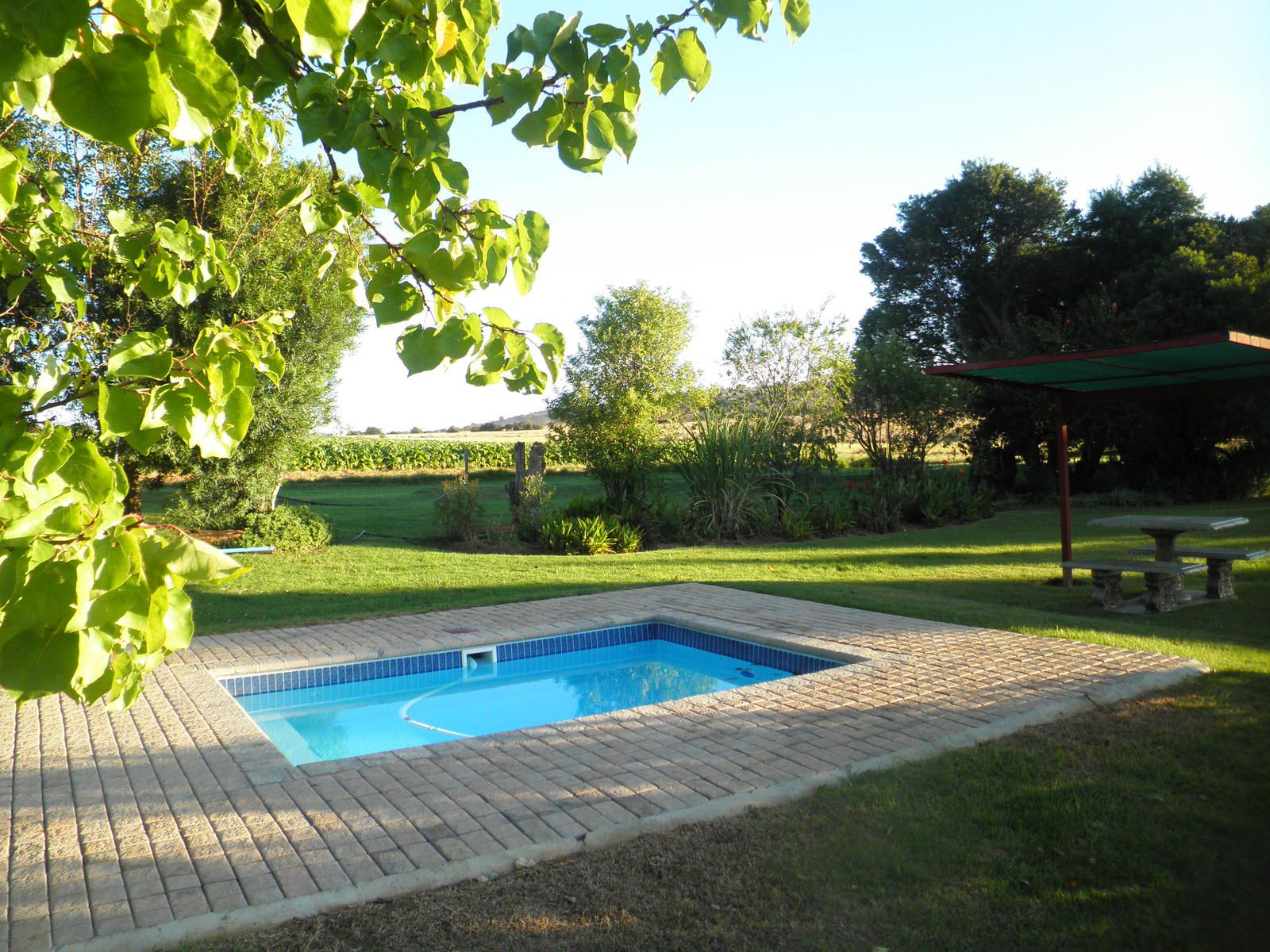 Loebies Guestfarm And Predator Park Bateleur Nature Reserve Bela Bela Warmbaths Limpopo Province South Africa Garden, Nature, Plant, Swimming Pool