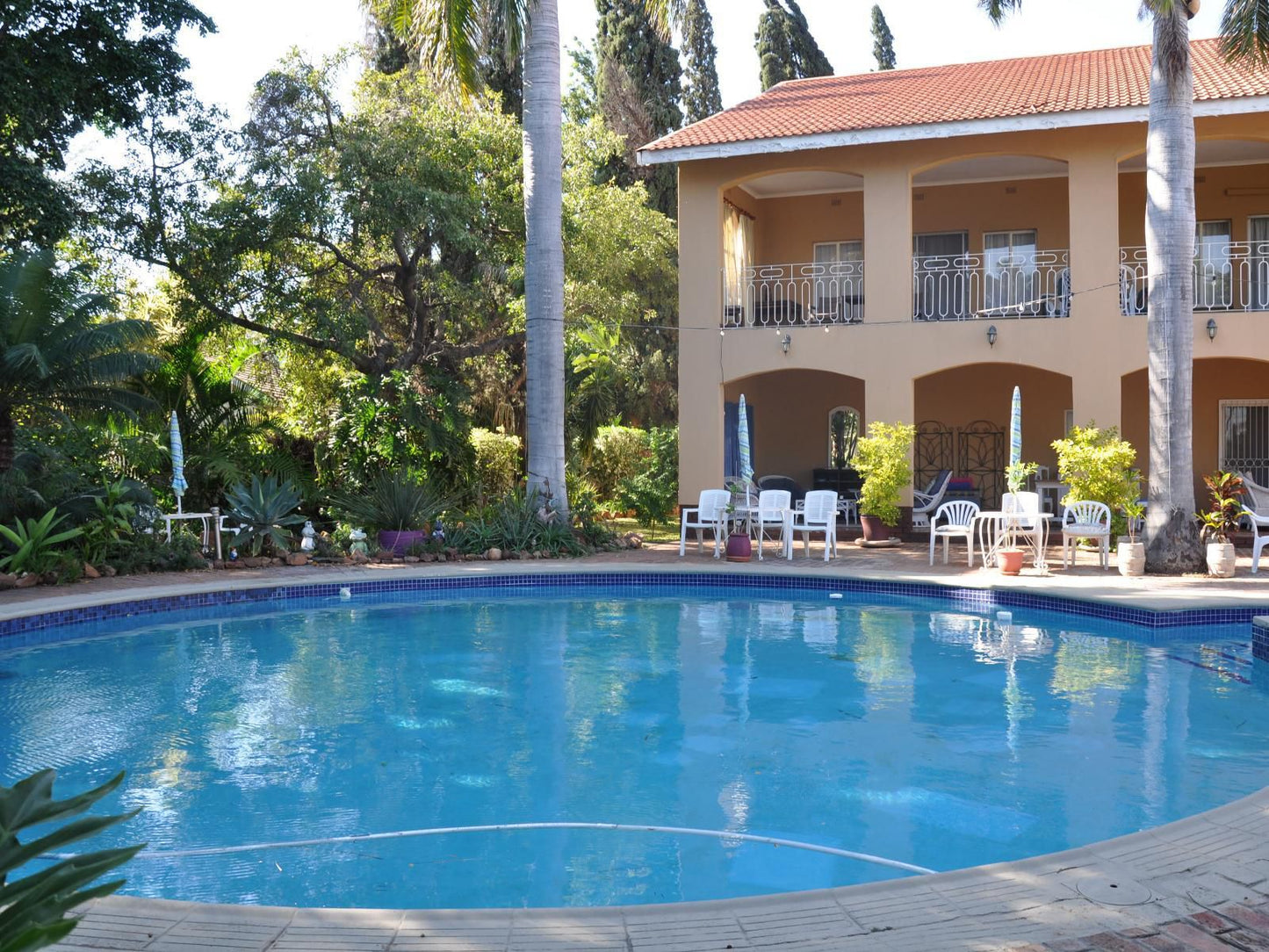 Loerie Lodge Phalaborwa Phalaborwa Limpopo Province South Africa Complementary Colors, House, Building, Architecture, Palm Tree, Plant, Nature, Wood, Swimming Pool