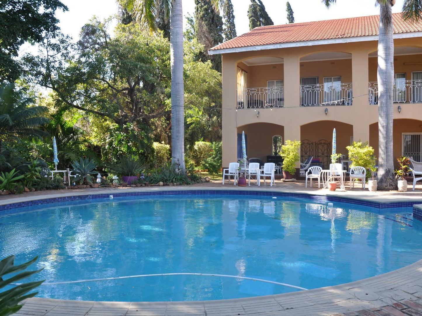 Loerie Lodge Phalaborwa Phalaborwa Limpopo Province South Africa Complementary Colors, House, Building, Architecture, Palm Tree, Plant, Nature, Wood, Swimming Pool