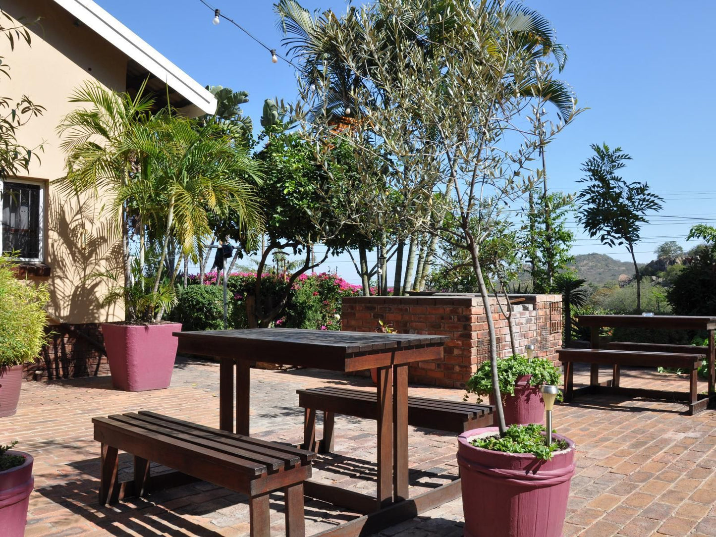 Loerie Lodge Phalaborwa Phalaborwa Limpopo Province South Africa Complementary Colors, Palm Tree, Plant, Nature, Wood