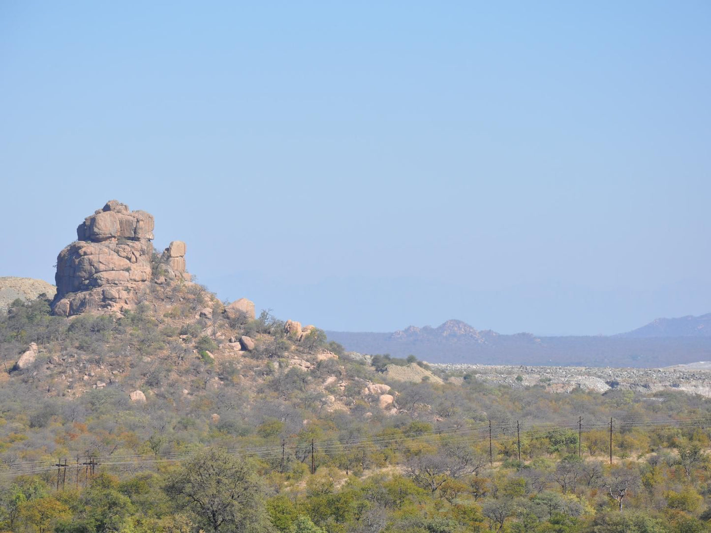 Loerie Lodge Phalaborwa Phalaborwa Limpopo Province South Africa Cactus, Plant, Nature