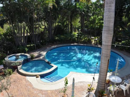 Loerie Lodge Phalaborwa Phalaborwa Limpopo Province South Africa Palm Tree, Plant, Nature, Wood, Garden, Swimming Pool