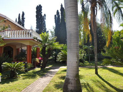 Loerie Lodge Phalaborwa Phalaborwa Limpopo Province South Africa House, Building, Architecture, Palm Tree, Plant, Nature, Wood