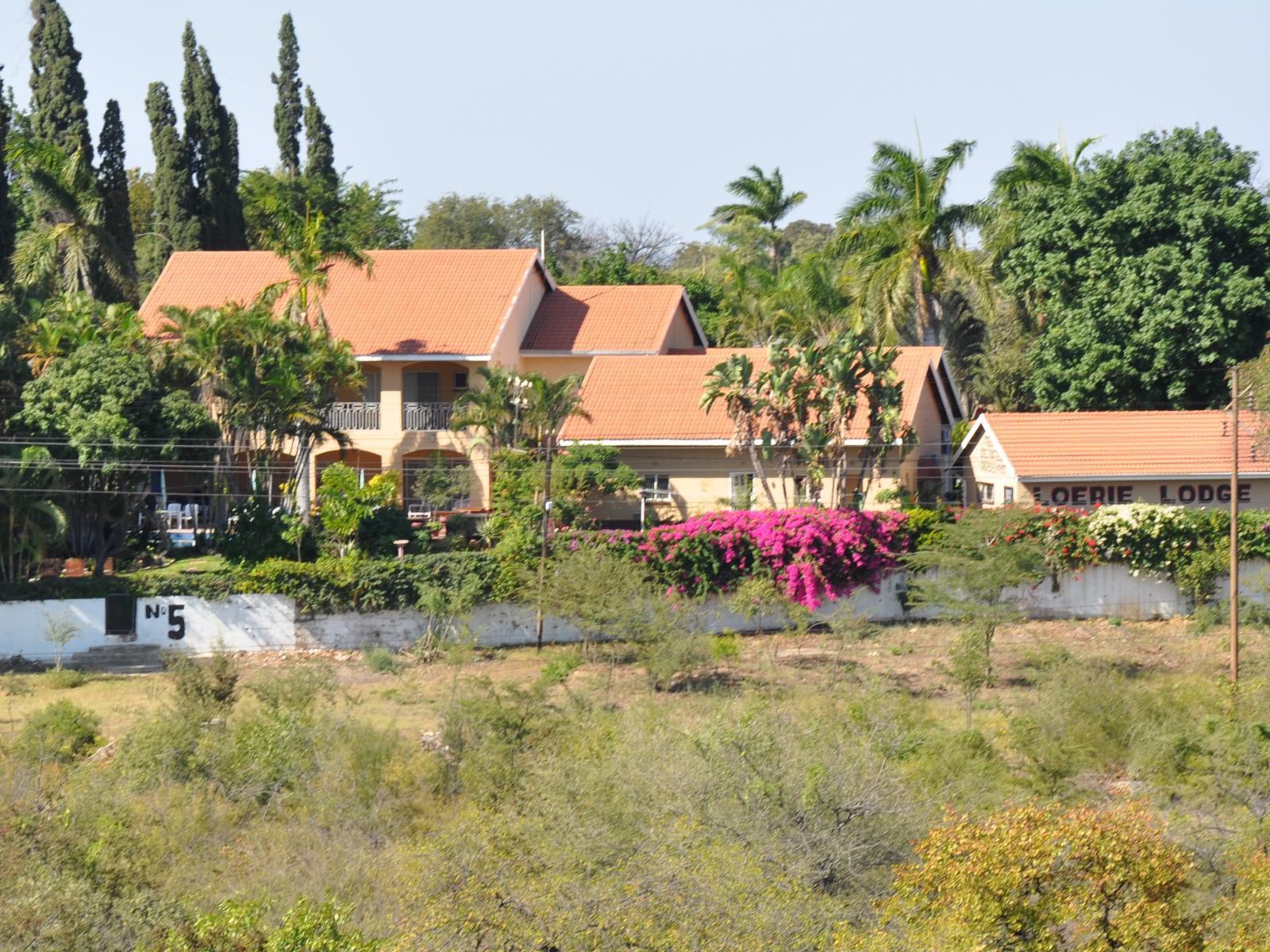 Loerie Lodge Phalaborwa Phalaborwa Limpopo Province South Africa Complementary Colors, House, Building, Architecture, Palm Tree, Plant, Nature, Wood