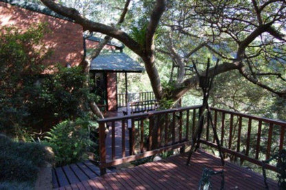 Loeriebos Bed And Breakfast Westville Durban Kwazulu Natal South Africa Plant, Nature, Tree, Wood, Garden