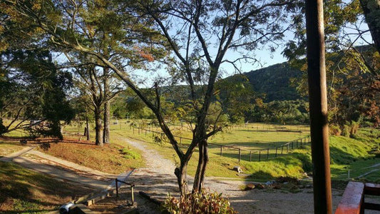 Loerie Cottage Colleen Glen Port Elizabeth Eastern Cape South Africa Tree, Plant, Nature, Wood