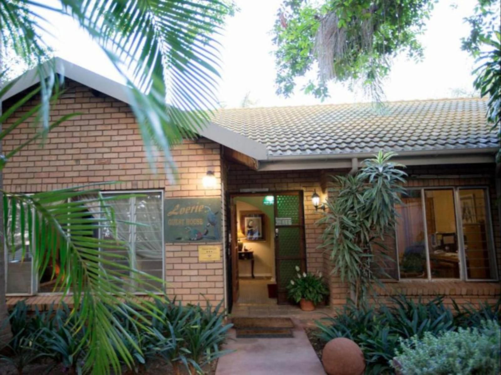 Loerie Guesthouse Hoedspruit Limpopo Province South Africa Palm Tree, Plant, Nature, Wood