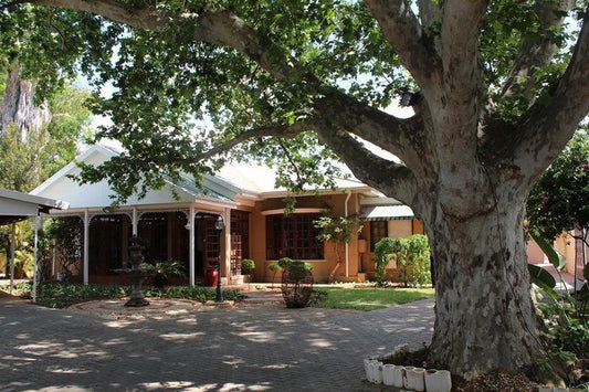 Loerie Inn Guesthouse Rustenburg North West Province South Africa House, Building, Architecture, Palm Tree, Plant, Nature, Wood