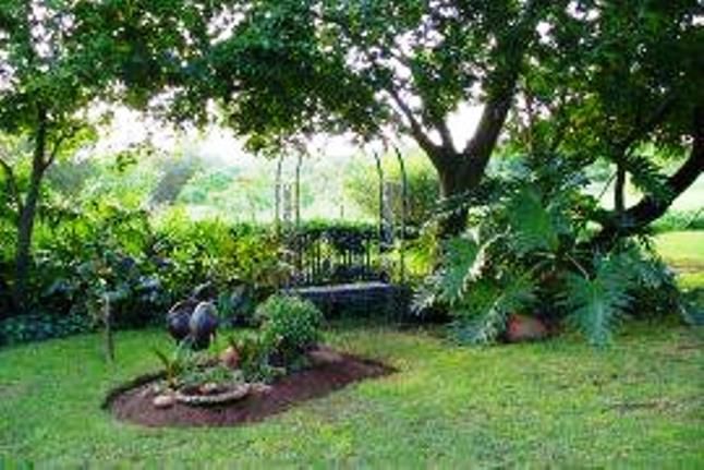 Loeriepark Guesthouse Kameeldrift East Pretoria Tshwane Gauteng South Africa Plant, Nature, Tree, Wood, Garden