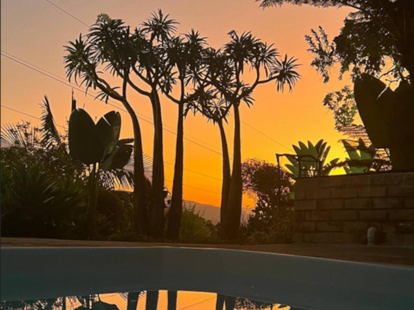 Loerieroep At Nelspruit Nelspruit Mpumalanga South Africa Palm Tree, Plant, Nature, Wood, Silhouette, Sunset, Sky