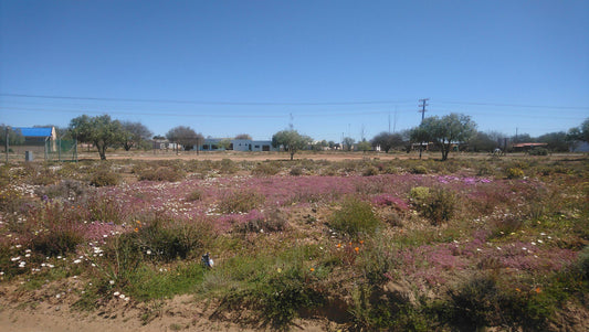 Loeriesfontein Hotel Loeriesfontein Northern Cape South Africa Complementary Colors, Cactus, Plant, Nature, Field, Agriculture, Lowland