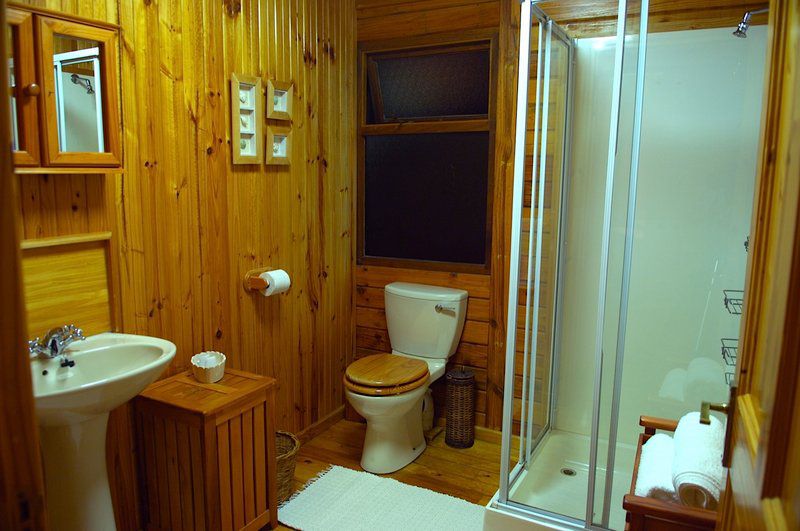Log Home Yzerfontein Western Cape South Africa Bathroom