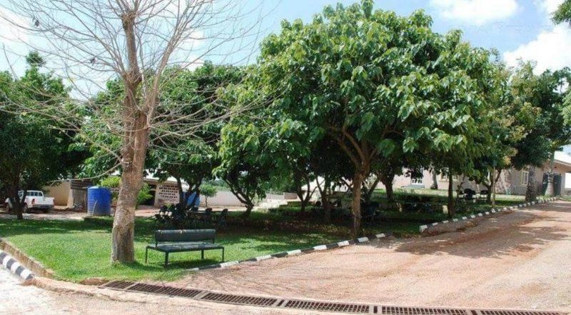 Loin Gate Iv Hotel Riviera Pretoria Tshwane Gauteng South Africa Palm Tree, Plant, Nature, Wood, Tree