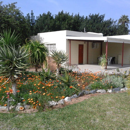 Lombards Guest House Vanrhynsdorp Western Cape South Africa House, Building, Architecture, Palm Tree, Plant, Nature, Wood