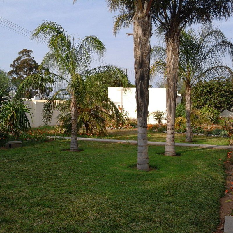 Lombards Guest House Vanrhynsdorp Western Cape South Africa House, Building, Architecture, Palm Tree, Plant, Nature, Wood, Garden