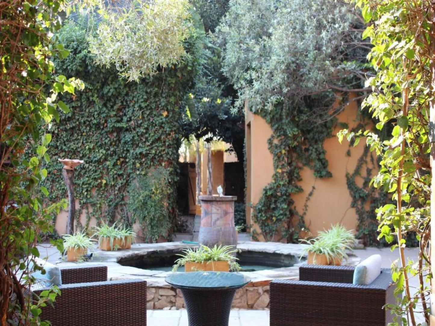 Lombardy Boutique Hotel Lynnwood Pretoria Tshwane Gauteng South Africa Plant, Nature, Garden