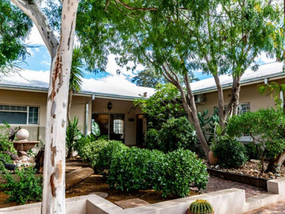 Londiningi Guesthouse, House, Building, Architecture, Palm Tree, Plant, Nature, Wood