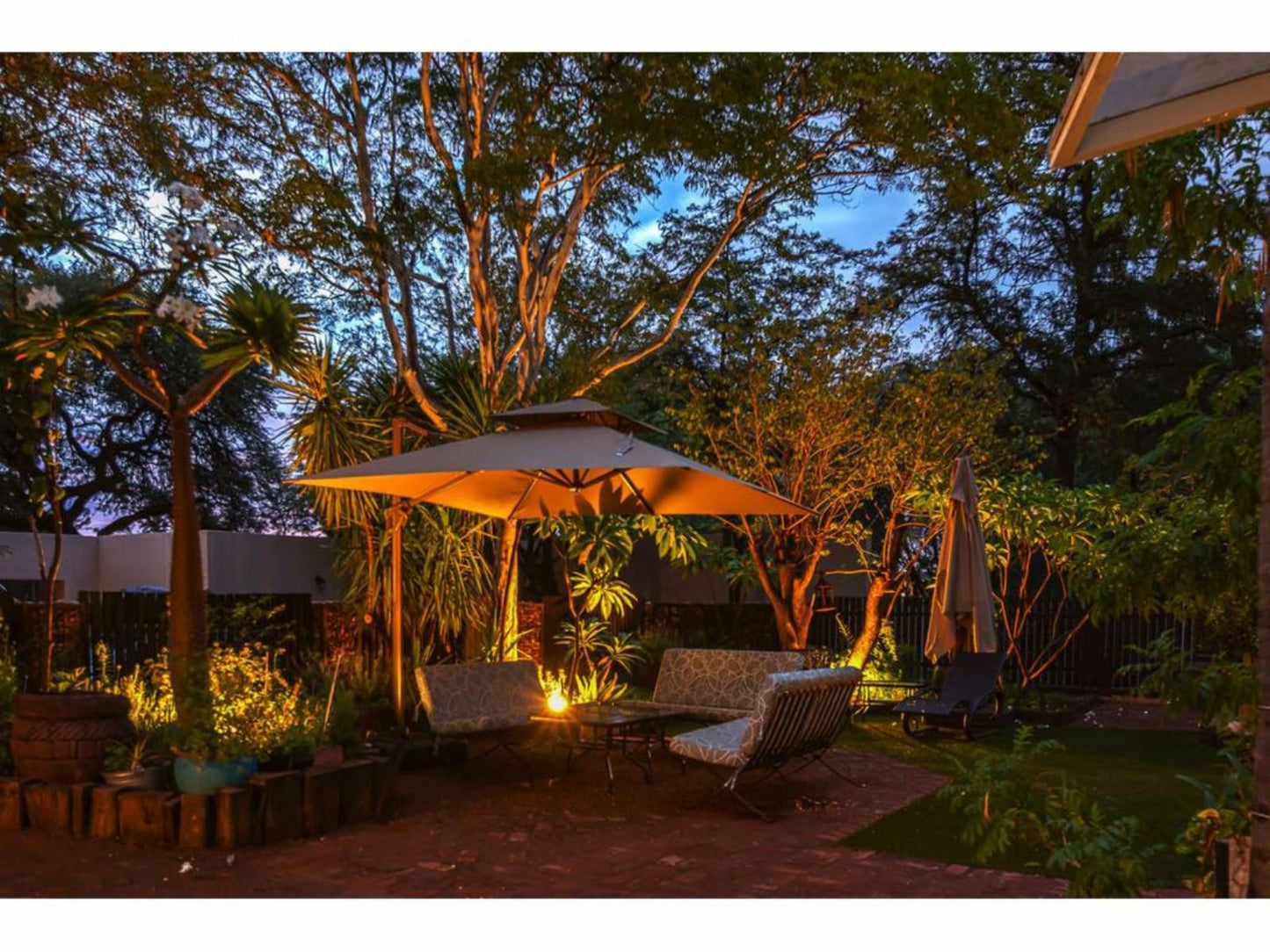 Londiningi Guesthouse, Palm Tree, Plant, Nature, Wood