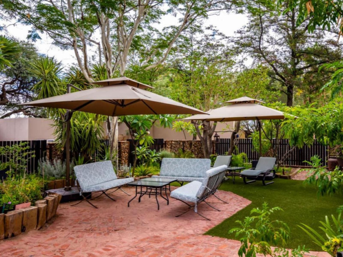 Londiningi Guesthouse, Palm Tree, Plant, Nature, Wood, Garden