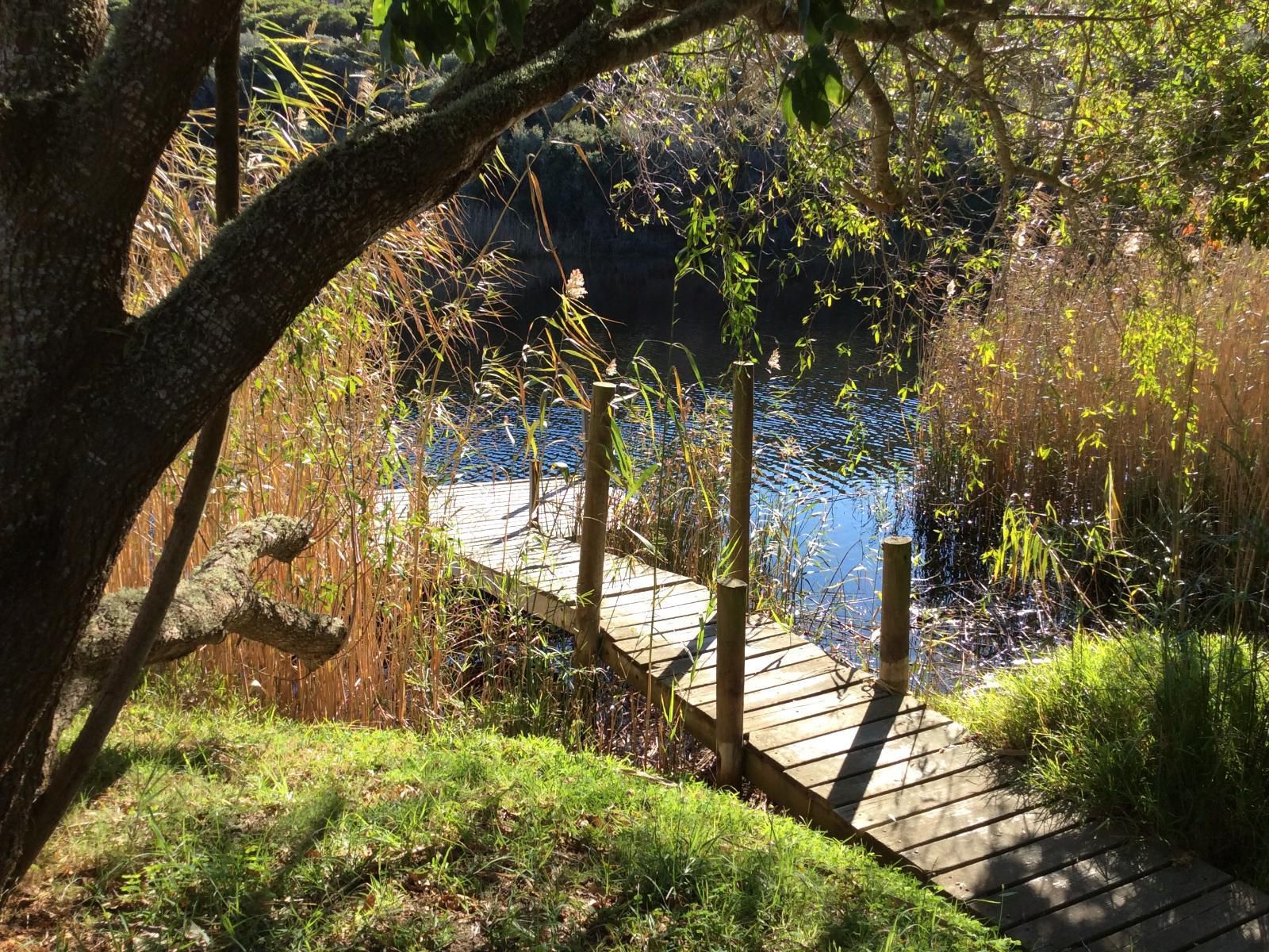 Long Thin Farm Stilbaai Western Cape South Africa Plant, Nature, River, Waters, Tree, Wood, Garden