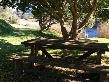 Long Thin Farm Stilbaai Western Cape South Africa Tree, Plant, Nature, Wood