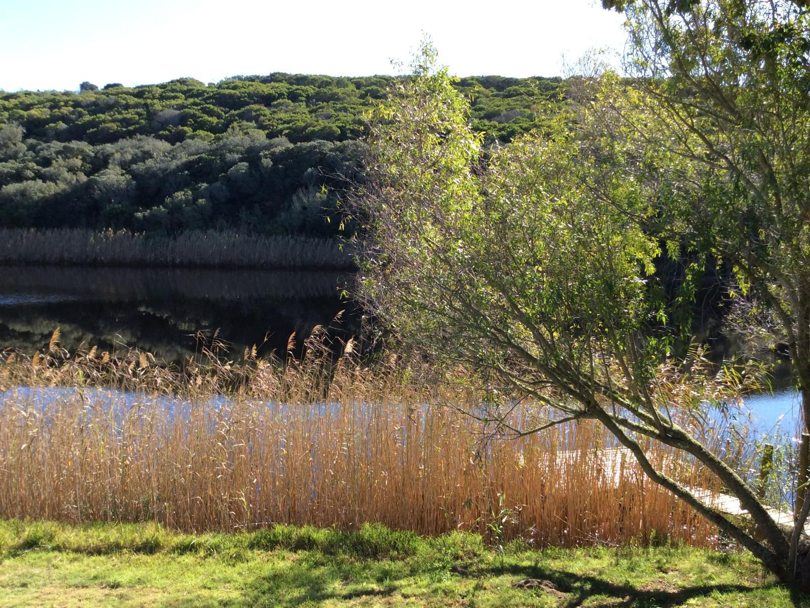 Long Thin Farm Stilbaai Western Cape South Africa River, Nature, Waters, Tree, Plant, Wood