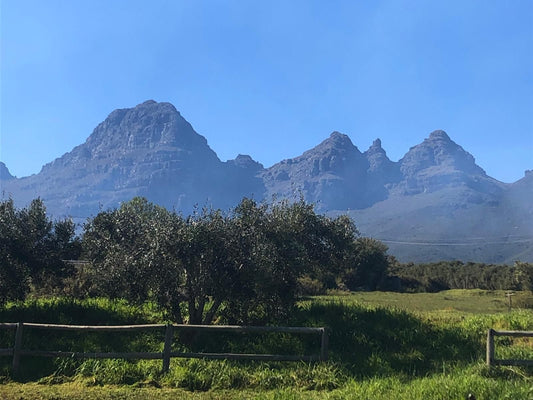 Longfield House Stellenbosch Western Cape South Africa Mountain, Nature