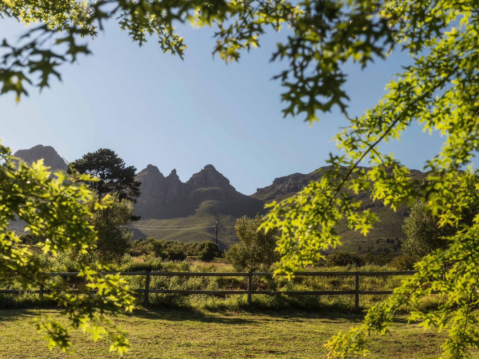 Longfield House Stellenbosch Western Cape South Africa Complementary Colors, Framing, Nature