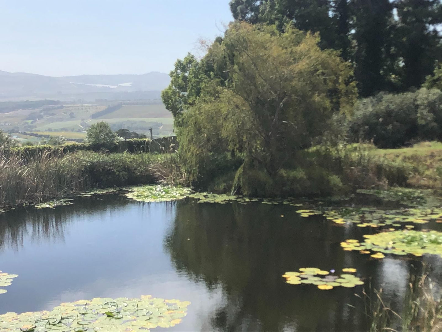 Longfield House Stellenbosch Western Cape South Africa River, Nature, Waters