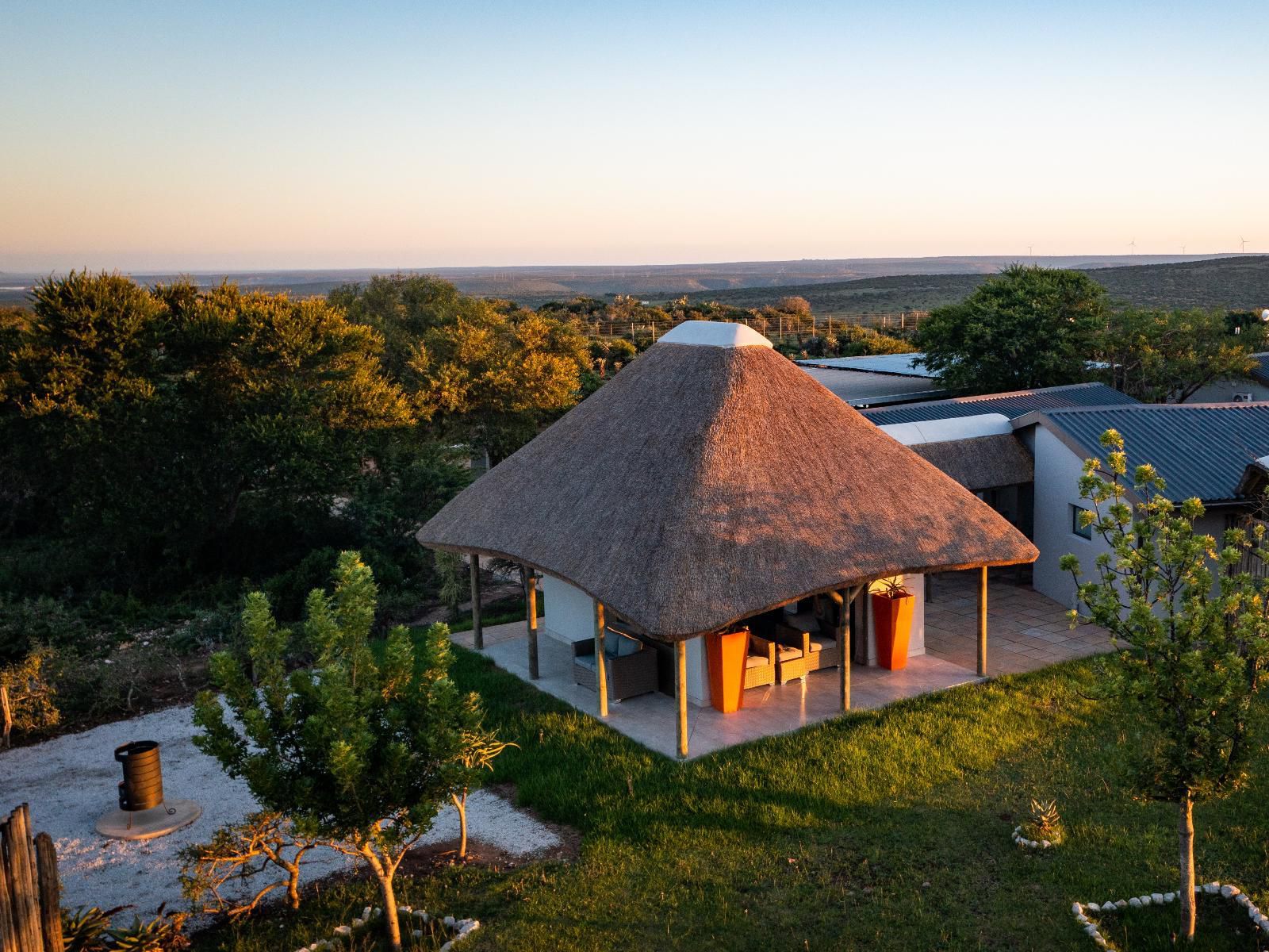 Longhill Lodge Addo Eastern Cape South Africa Island, Nature