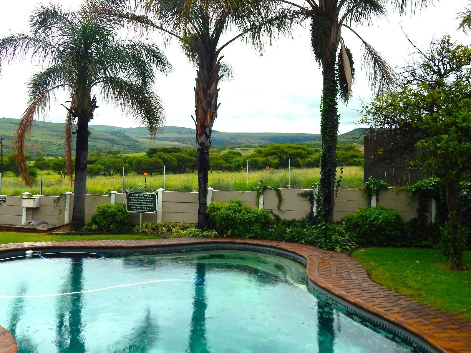 Longtom Farm Guest House Lydenburg Mpumalanga South Africa Palm Tree, Plant, Nature, Wood, Garden, Swimming Pool