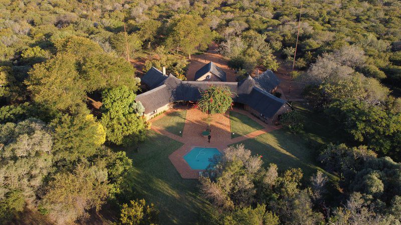 Loodswaai Game Ranch Hammanskraal Gauteng South Africa 