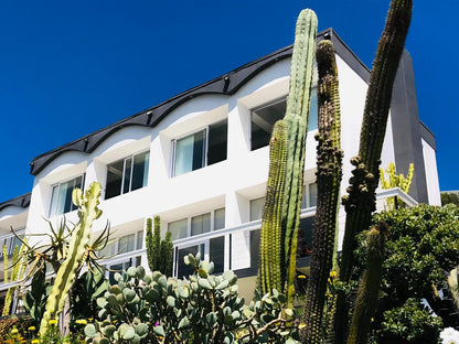 Lookout Lodge Plettenberg Bay Western Cape South Africa Complementary Colors, House, Building, Architecture, Plant, Nature