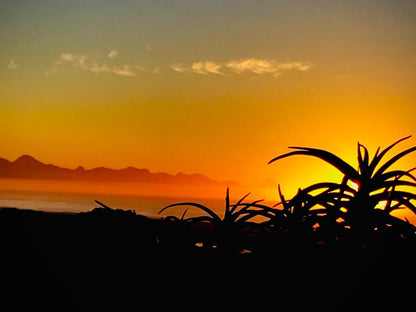 Lookout Lodge Plettenberg Bay Western Cape South Africa Silhouette, Sky, Nature, Sunset