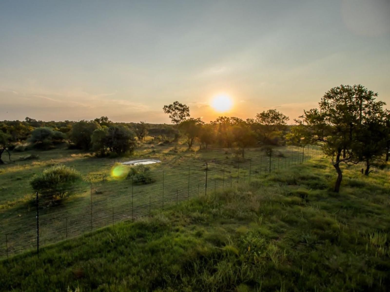 Lookoutsafarilodge The Heartbeat Of Africa Dinokeng Game Reserve Gauteng South Africa Lowland, Nature