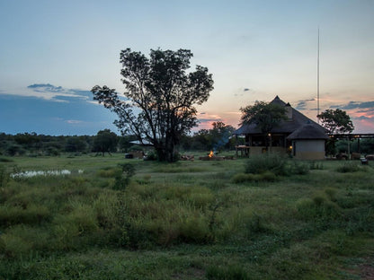 Lookoutsafarilodge The Heartbeat Of Africa Dinokeng Game Reserve Gauteng South Africa Lowland, Nature