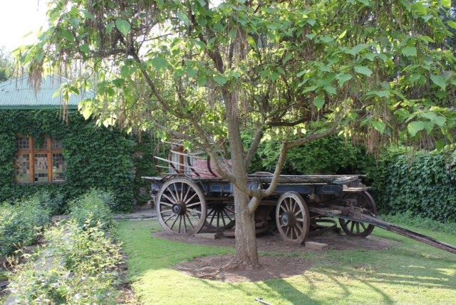 Lord Fraser Guest House Wepener Free State South Africa Carriage, Vehicle, Tractor, Agriculture, Tree, Plant, Nature, Wood, Windmill, Building, Architecture