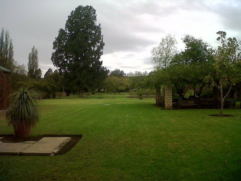 Lord Fraser Guest House Wepener Free State South Africa Garden, Nature, Plant, Golfing, Ball Game, Sport