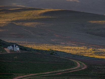 Lord S Wine Farm Boesmanskloof Mcgregor Western Cape South Africa Field, Nature, Agriculture, Canola, Plant, Lowland