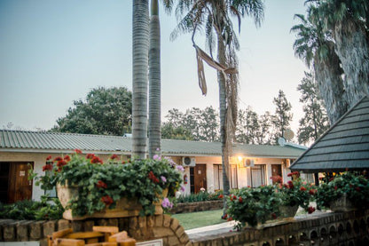 Loskop Valley Lodge And Restaurant Groblersdal Mpumalanga South Africa Palm Tree, Plant, Nature, Wood