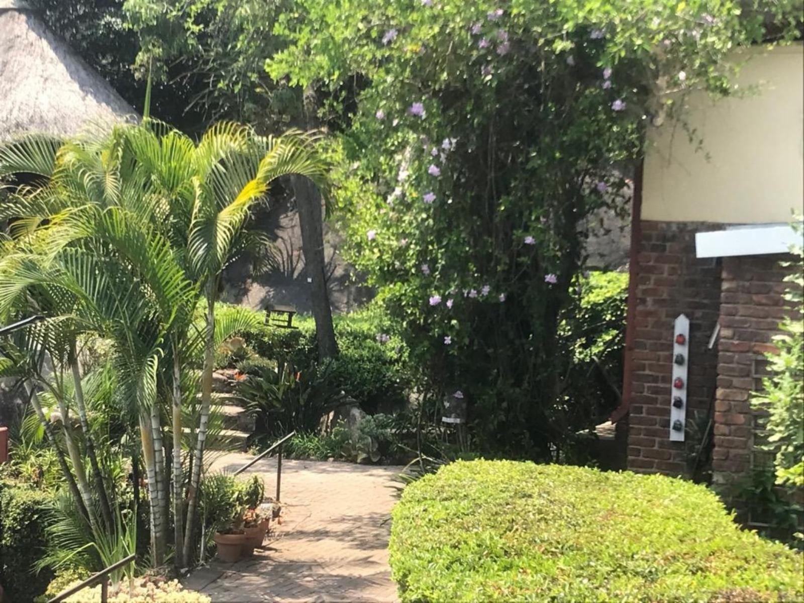 Lost Trail Guesthouse, Palm Tree, Plant, Nature, Wood, Garden