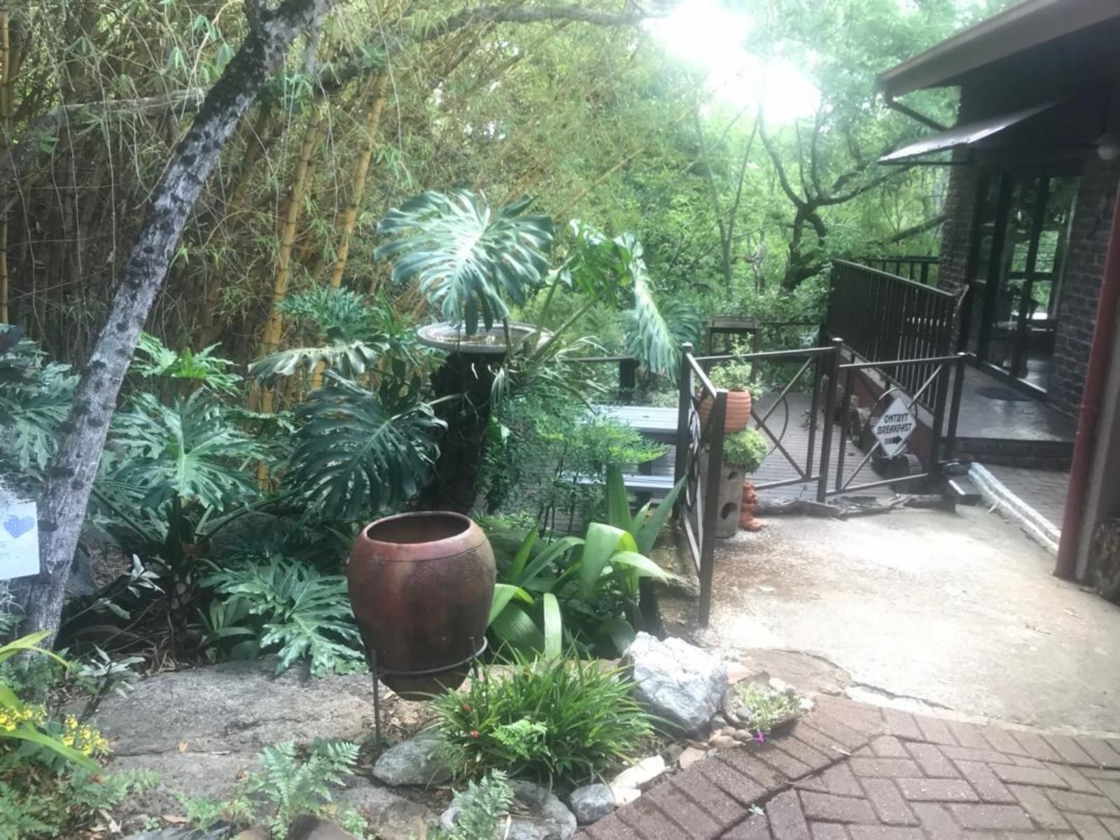 Lost Trail Guesthouse, Plant, Nature, Tree, Wood, Garden