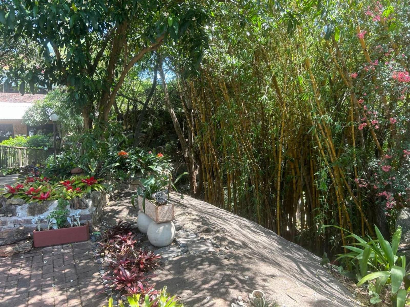 Lost Trail Guesthouse, Plant, Nature, Tree, Wood, Garden