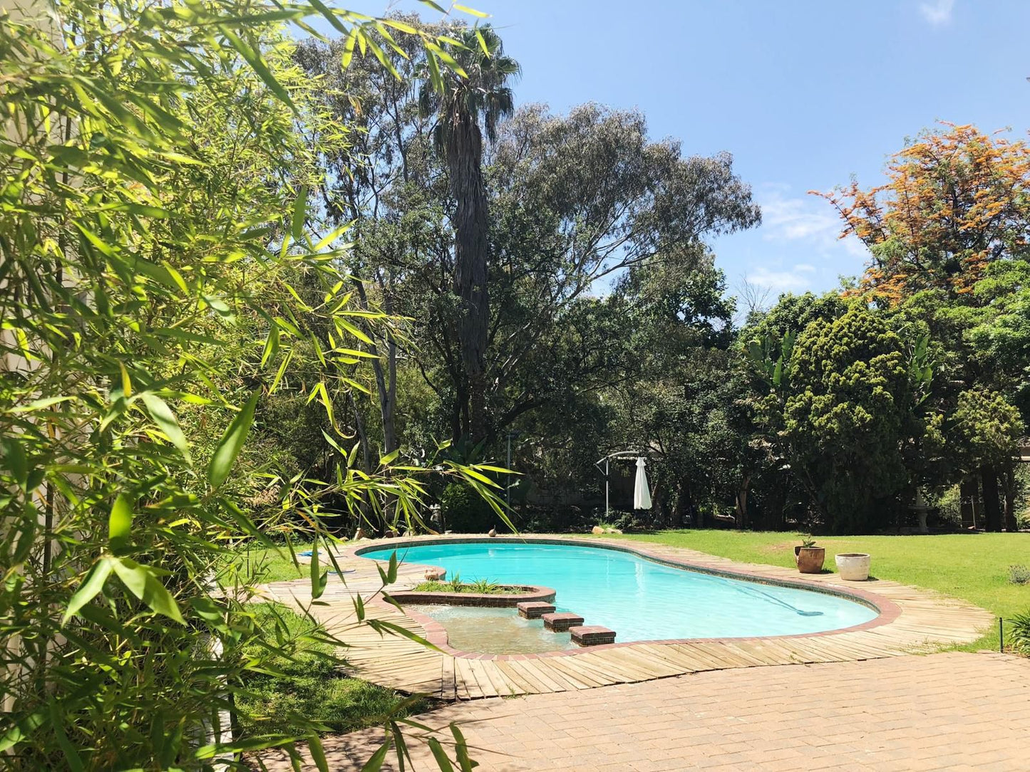 Lotus Guest House Morningside Manor Johannesburg Gauteng South Africa Complementary Colors, Palm Tree, Plant, Nature, Wood, Tree, Garden, Swimming Pool